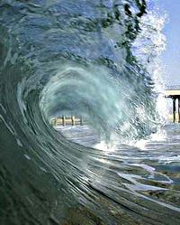 The Power of Action, excerpt from an article by Susan Sori